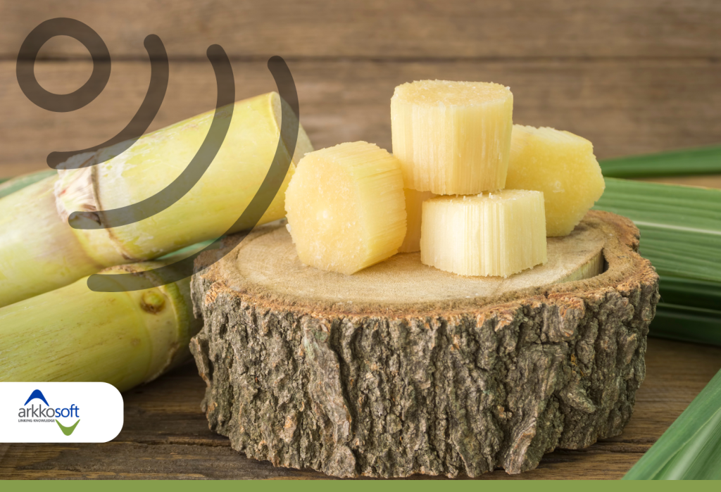 IA revoluciona la industria azucarera